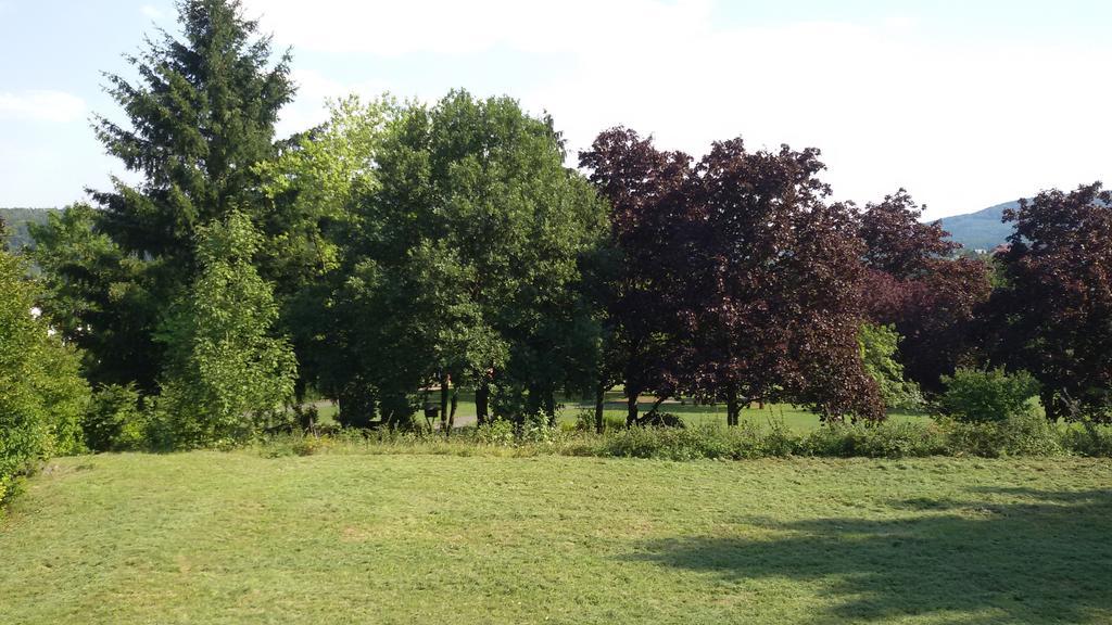 Hotel Schlossgarten Gladenbach Eksteriør bilde